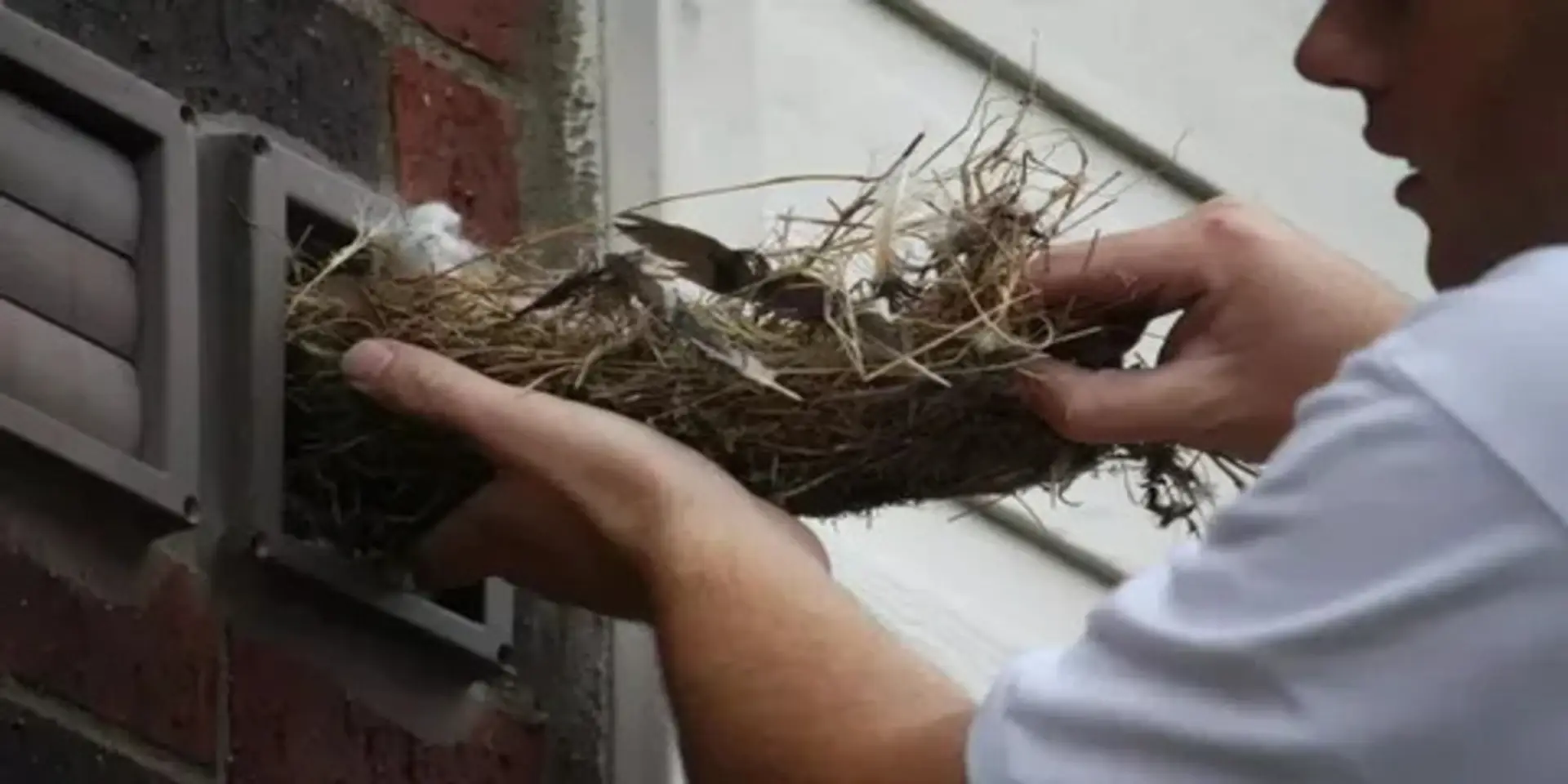 68b83ac52a0204aa814fe409